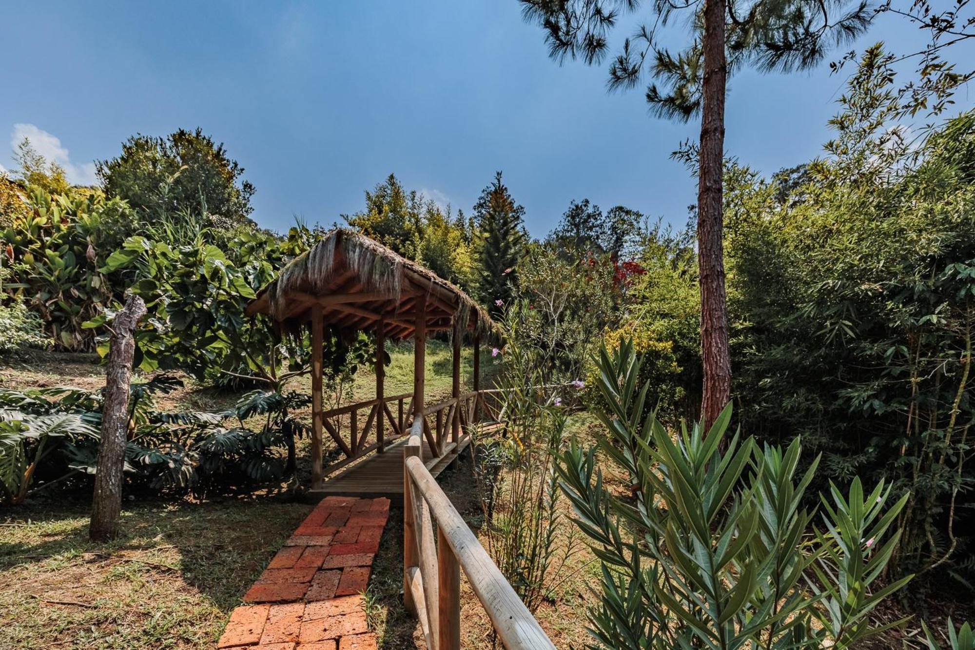 Hotel Pietrasanta Guatapé エクステリア 写真